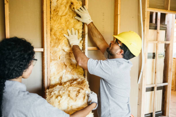 Best Insulation for New Construction  in Richland, MO